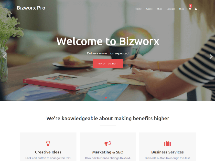 Bizworx Pro
