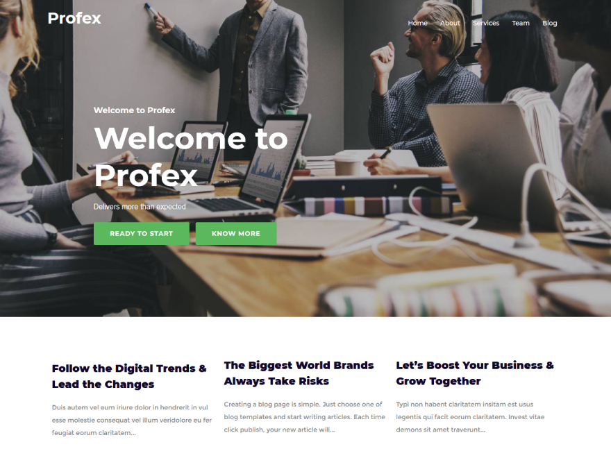 Profex Pro